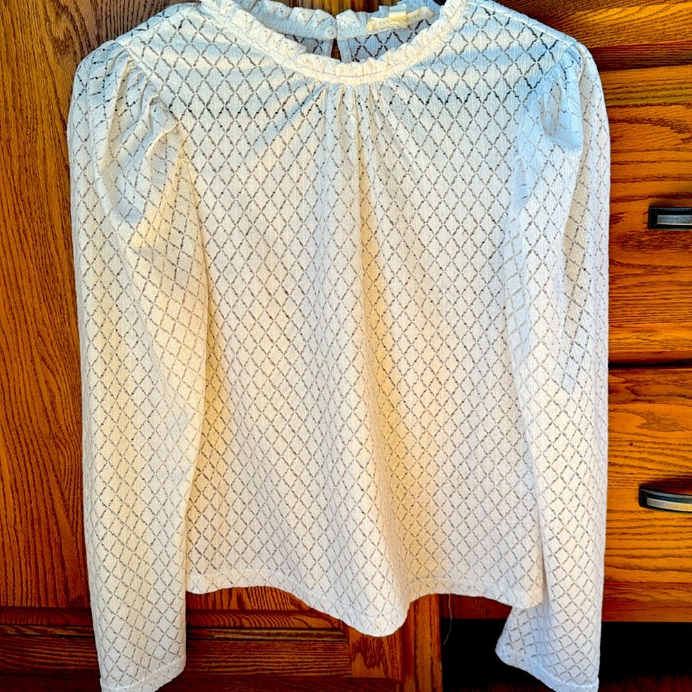 Grade and gather beige, sheer long sleeve blouse